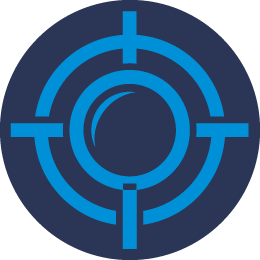 Wasp Nest Removal Service