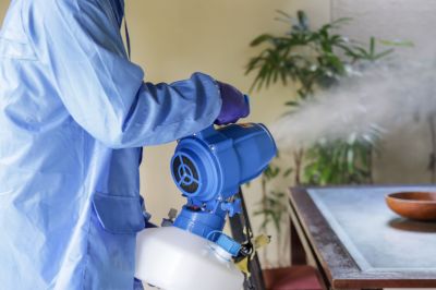 Fumigation Service in Fort Myers, FL