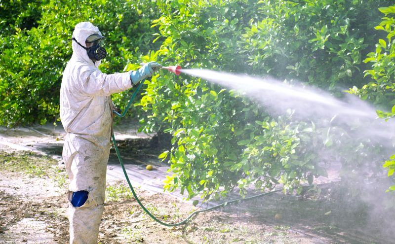 Fumigation Service in Marietta, GA