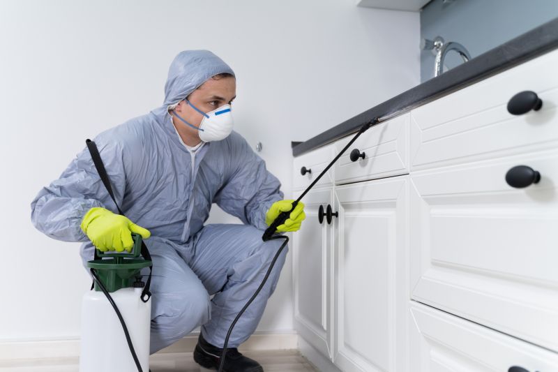 Bug Removal Service in Arlington, TX