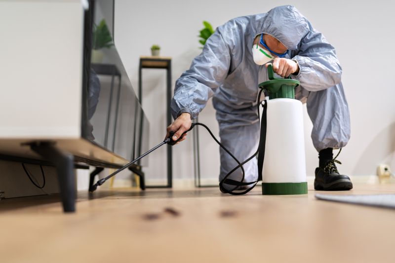 Pest Fumigation Service in Cumming, GA