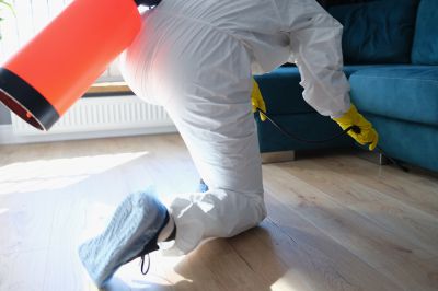 Roach Fumigation in San Jose, CA