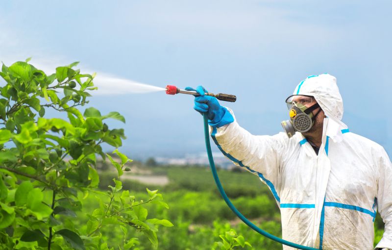Roach Fumigation in Woodbridge, VA