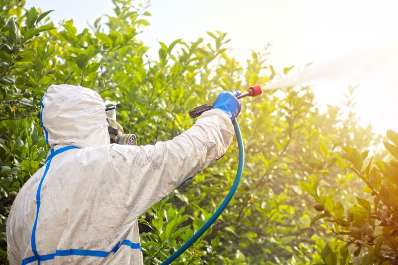 Spider Fumigation Service in Marietta, GA