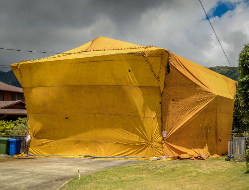 Termite Tenting in Marietta, GA